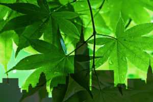 Green Building Products